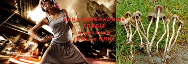 хмурый Арсеньев