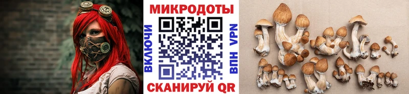 что такое наркотик  Кукмор  Псилоцибиновые грибы Psilocybine cubensis 